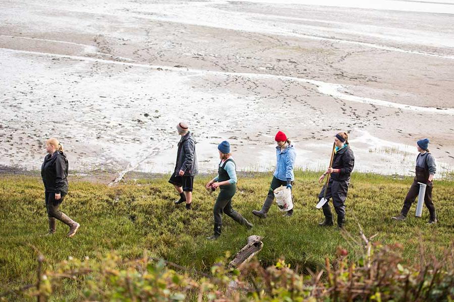 people walking with buckets near sandy stretch of beach